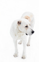 Similar image 21006322