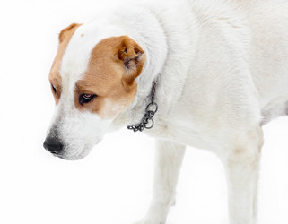 Similar image 21006323