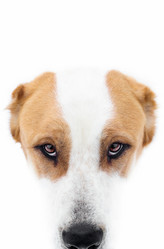 Similar image 21006325