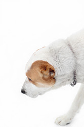 Similar image 21006326