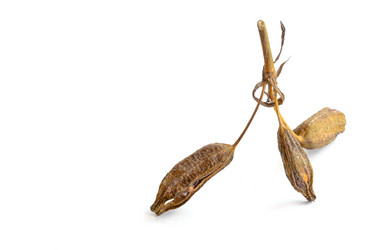 Similar image 21007035