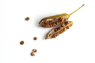 Similar image 21007036