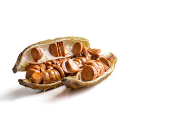 Similar image 21007040