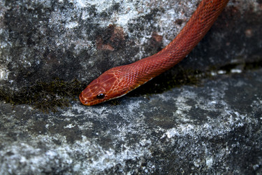 Similar image 21007638