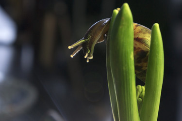 Similar image 21006407