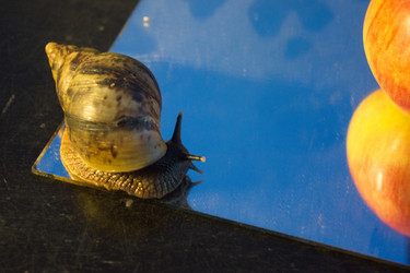 Similar image 21006408