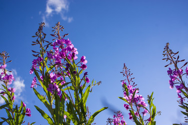 Similar image 21006412