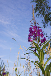 Similar image 21006415