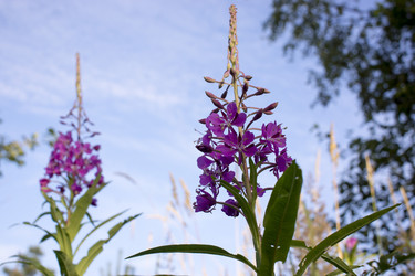 Similar image 21006416