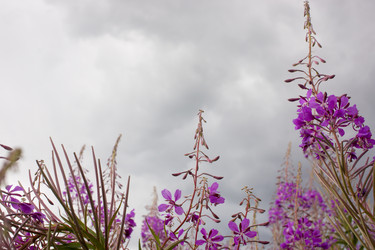 Similar image 21006417