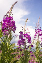 Similar image 21006420