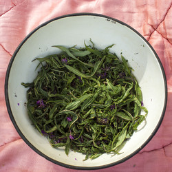 Similar image 21006423