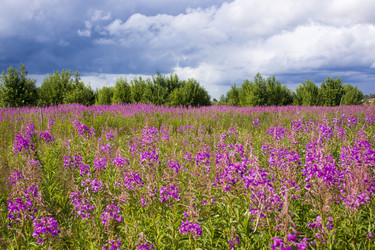 Similar image 21006424