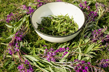 Similar image 21006426