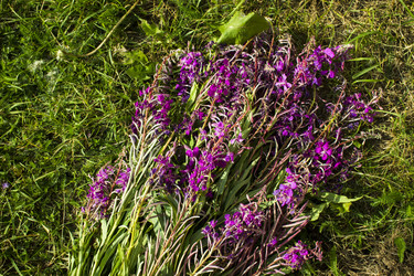 Similar image 21006430