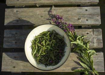 Similar image 21006432