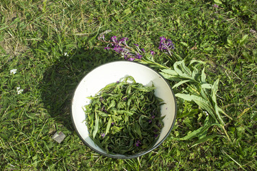 Similar image 21006433