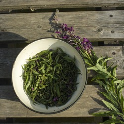 Similar image 21006434