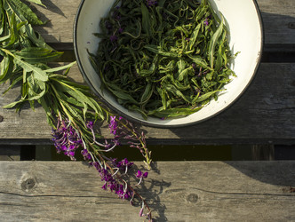 Similar image 21006435