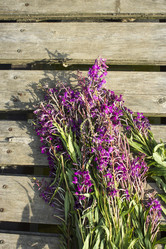 Similar image 21006439