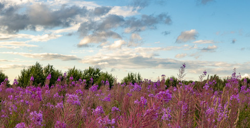 Similar image 21006440