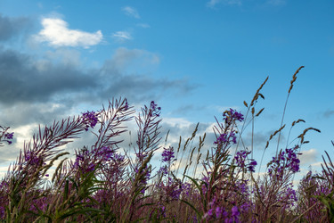 Similar image 21006485