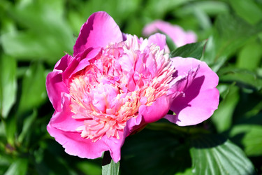 Similar image 21007151