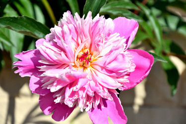 Similar image 21007152