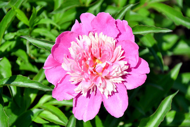 Similar image 21007153