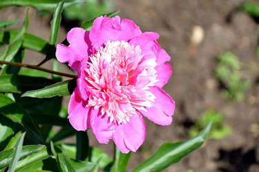 Similar image 21007154