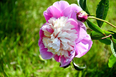 Similar image 21007156