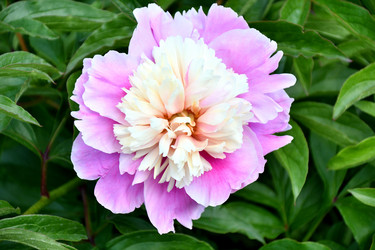 Similar image 21007158