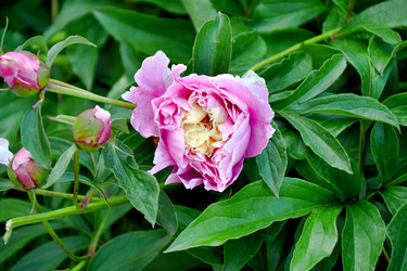 Similar image 21007159