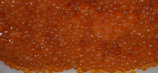 Similar image 21007166