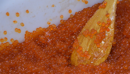 Similar image 21007167