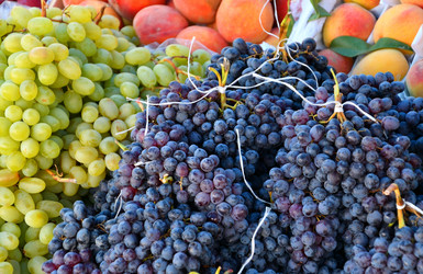 Similar image 21007337