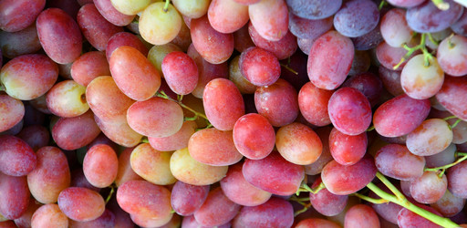 Similar image 21007341