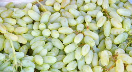 Similar image 21007342