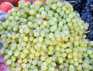 Similar image 21007346