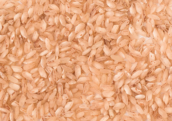 Similar image 21006442