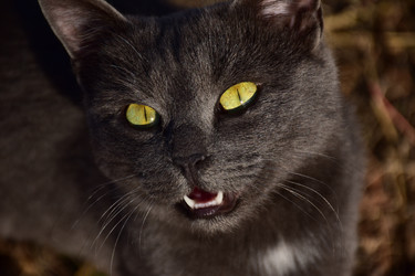 Similar image 21008336