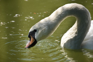 Similar image 21008337