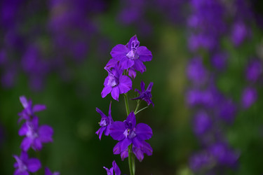 Similar image 21008338