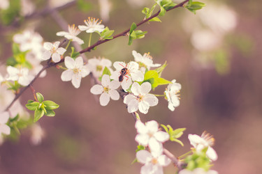 Similar image 21007042