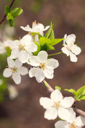 Similar image 21007047