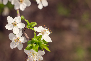 Similar image 21007048