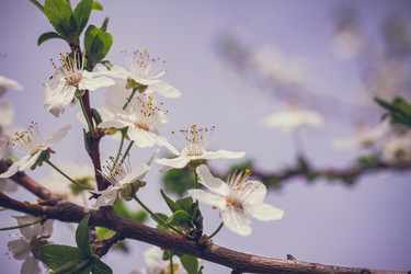 Similar image 21007051