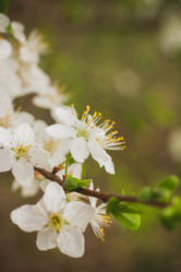 Similar image 21007052