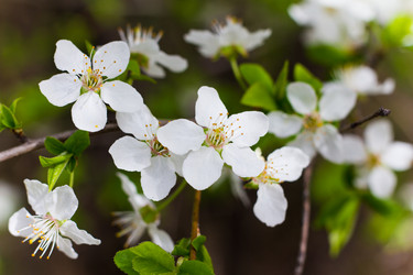 Similar image 21007054