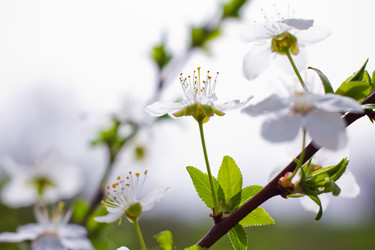 Similar image 21007058